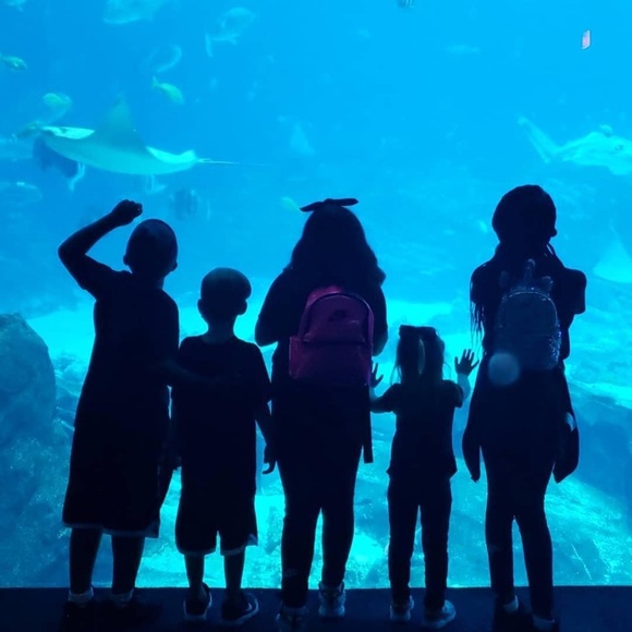 Meet your Posher, Lissette - Picture 7 of 9